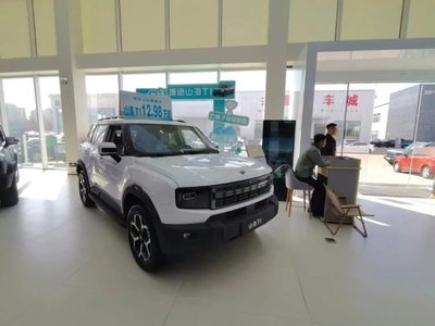 補貼“疊疊樂”，開發區新能源汽車銷售火熱