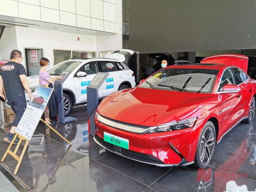新能源車補(bǔ)貼退坡調(diào)查 市場(chǎng)終端火爆，車企策略分化，今年銷量劍指600萬輛